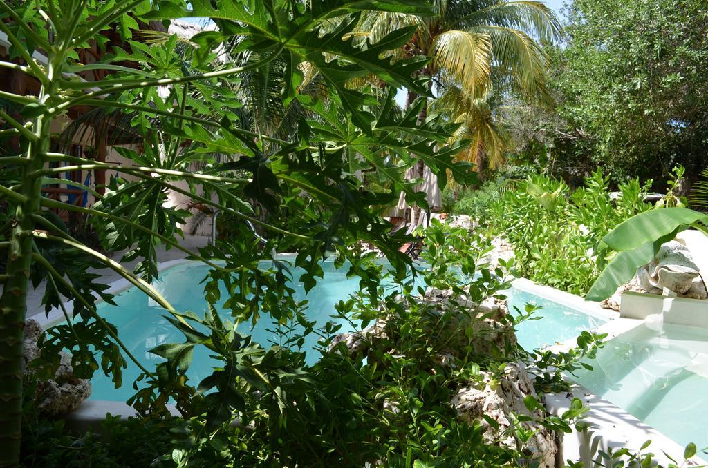 Casa Iguana Holbox - Beachfront Hotel المظهر الخارجي الصورة